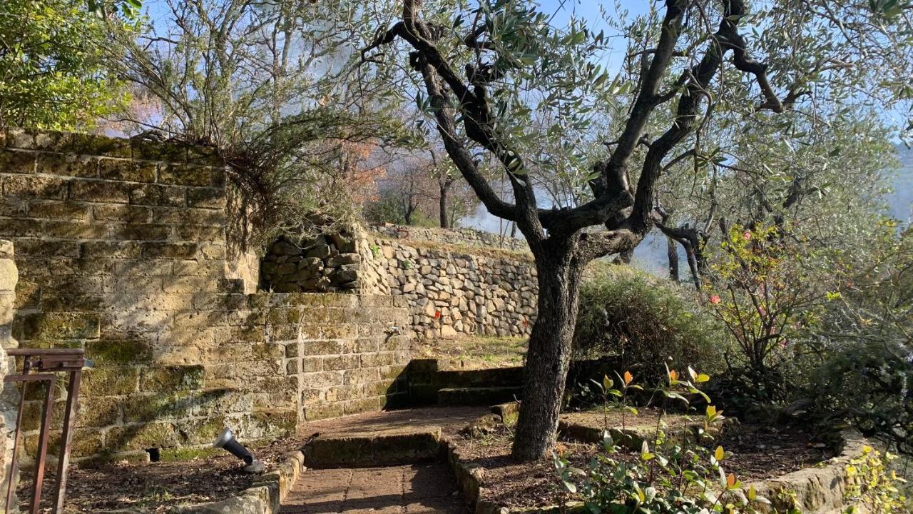 LarcianoPodere Le Vedute住宿加早餐旅馆 外观 照片