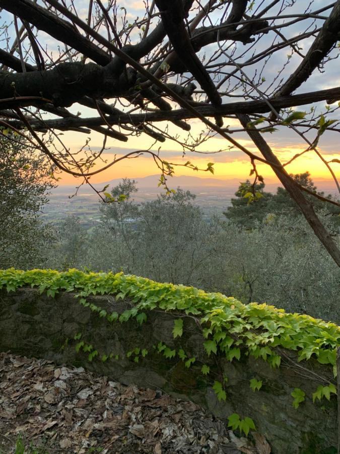 LarcianoPodere Le Vedute住宿加早餐旅馆 外观 照片